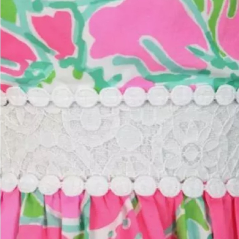 Lily Pulitzer Dress - Picture 4 of 6